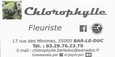 Logo-Chlorophylle-200px Logo du fleuriste "Chlorophylle"