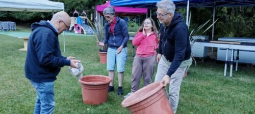 4 personnes en train d'arranger des pots de fleurs